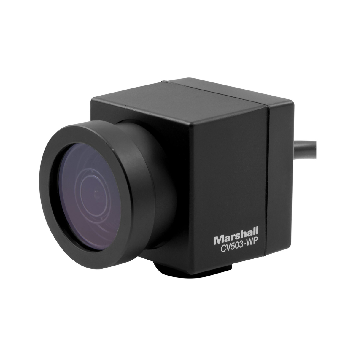 Marshall CV503-WP Camera