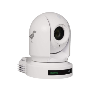 BirdDog Eyes P200